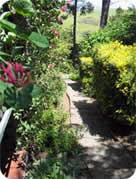 Pathway Down to Gardens